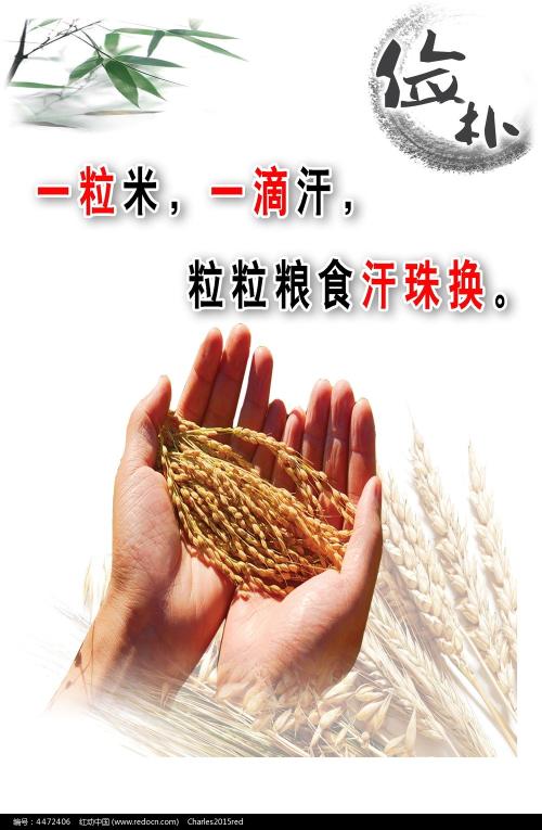 不来梅应用技术大学 Media diploma